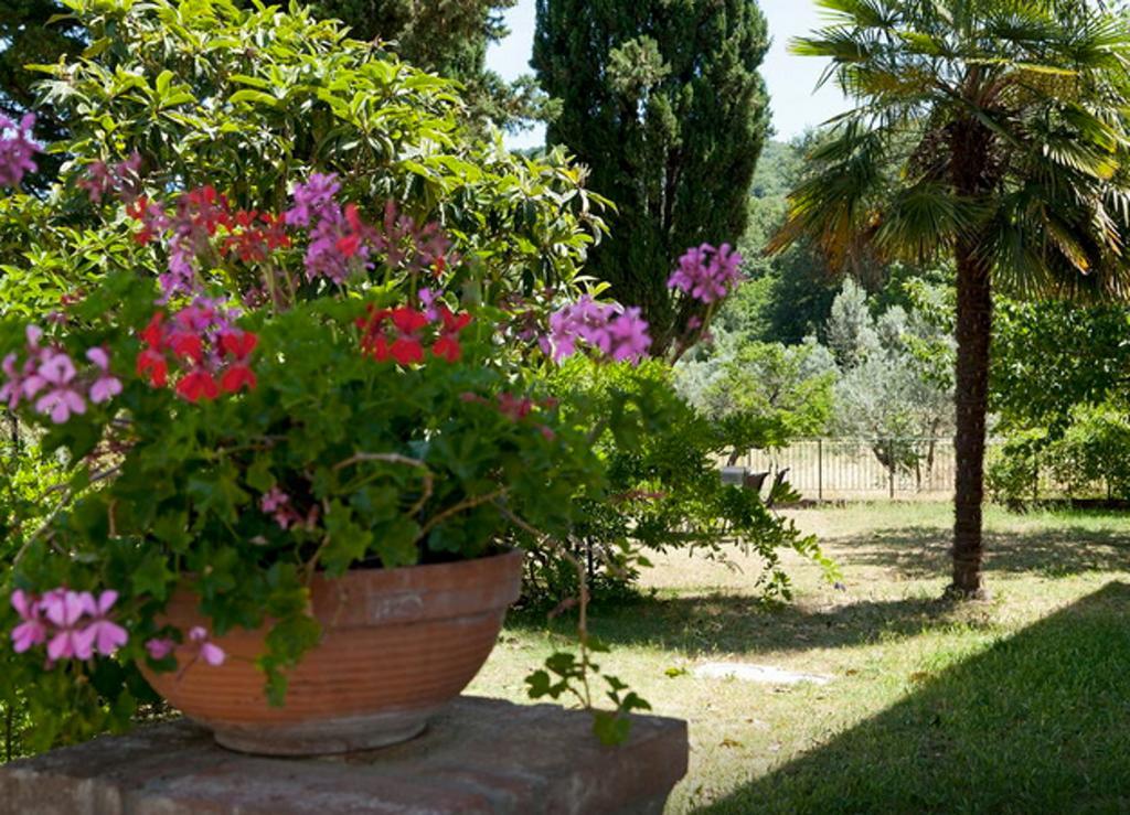 Fattoria La Tavernuzza Grassina Camera foto